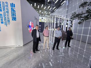 党委委员、副校长杜伟带队开展“...